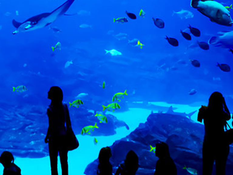 Grand Aquarium Хургада. Океанариум «Гранд-аквариум» в Хургаде. Океанариум в Египте Хургада. Большой аквариум Хургада. Океанариум хургада